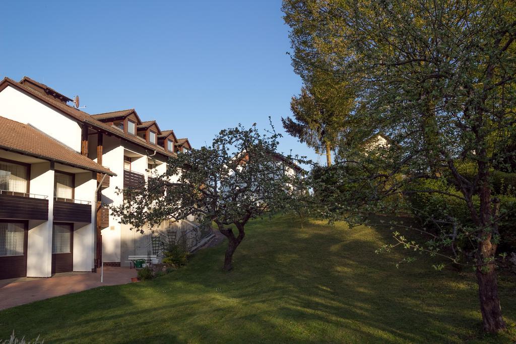 Hotel Am Lingelbach Knüllwald Zewnętrze zdjęcie