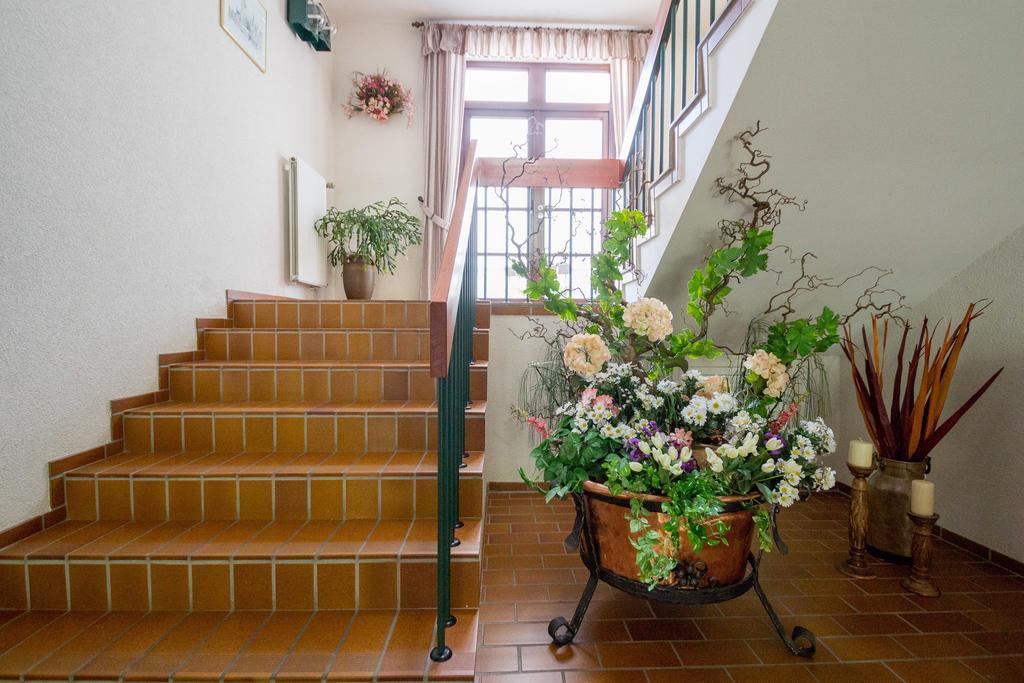 Hotel Am Lingelbach Knüllwald Zewnętrze zdjęcie