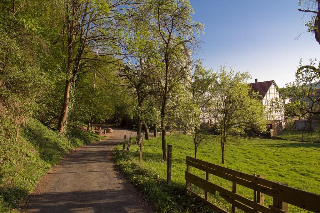 Hotel Am Lingelbach Knüllwald Zewnętrze zdjęcie
